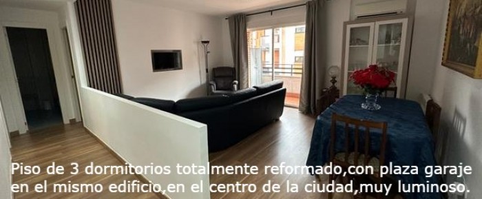 Muy Centrico y luminoso 13031